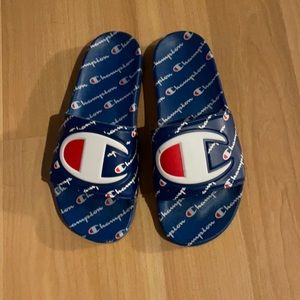 Champions slides